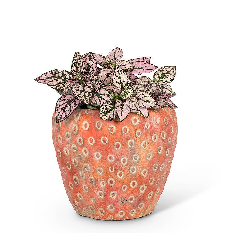 Small Strawberry Planter - 5"