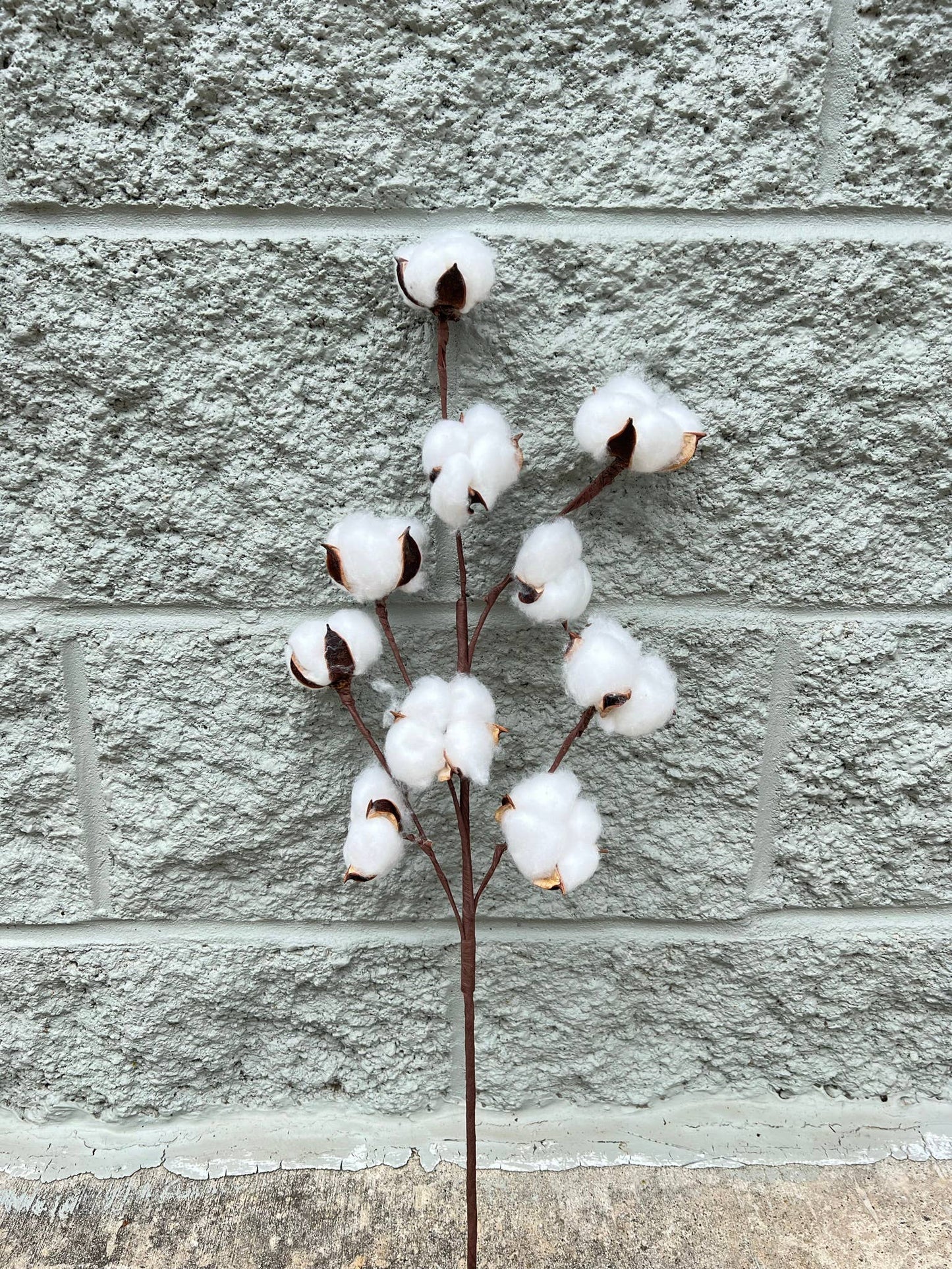 Cotton Stem - 21"