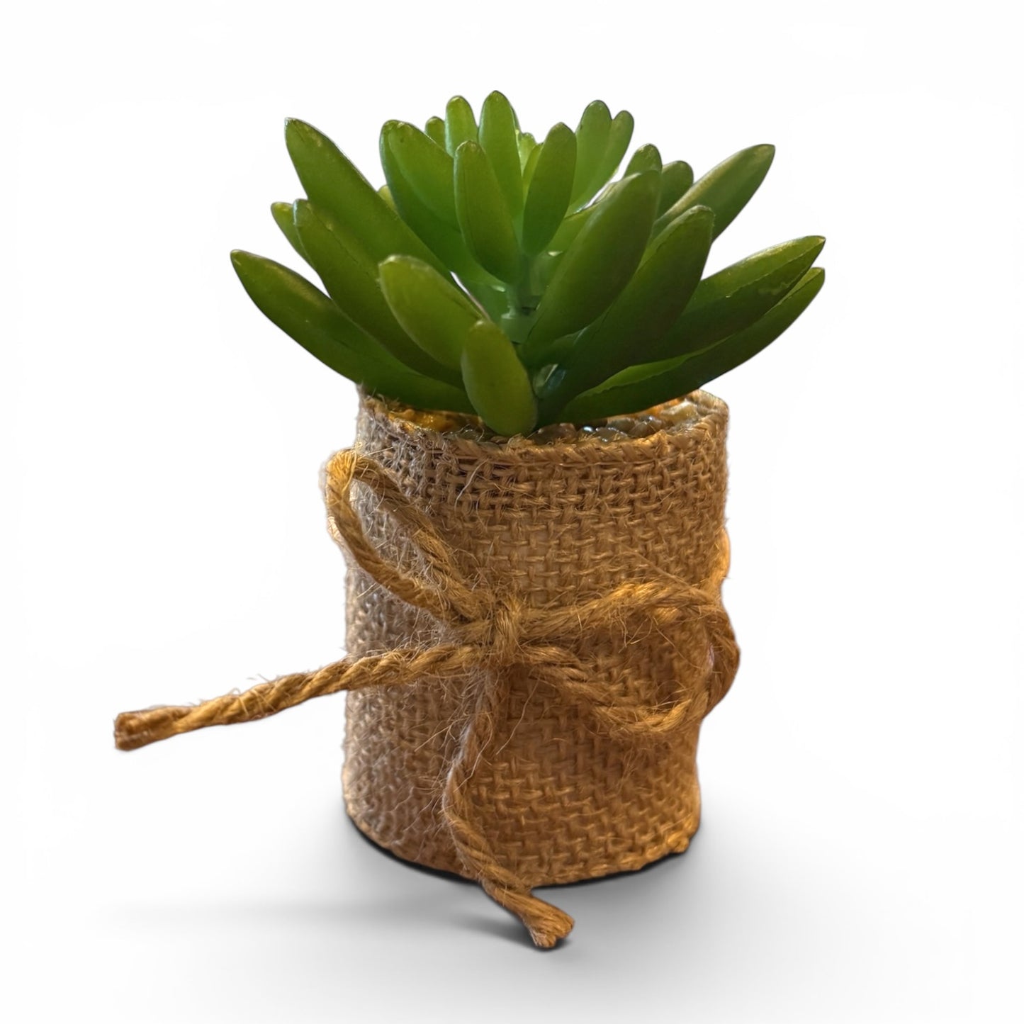 Succulents in Burlap Wrap - 4"