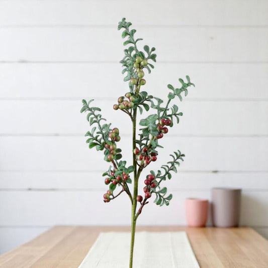 Eucalyptus Branch with Berries - 25"