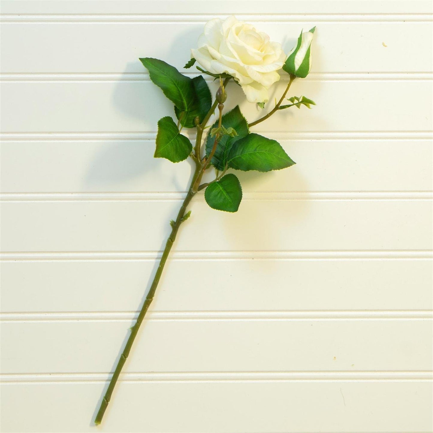 Real Feel Garden Rose - 15"