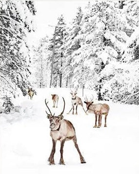 Winter Poster Prints - 24"x36"