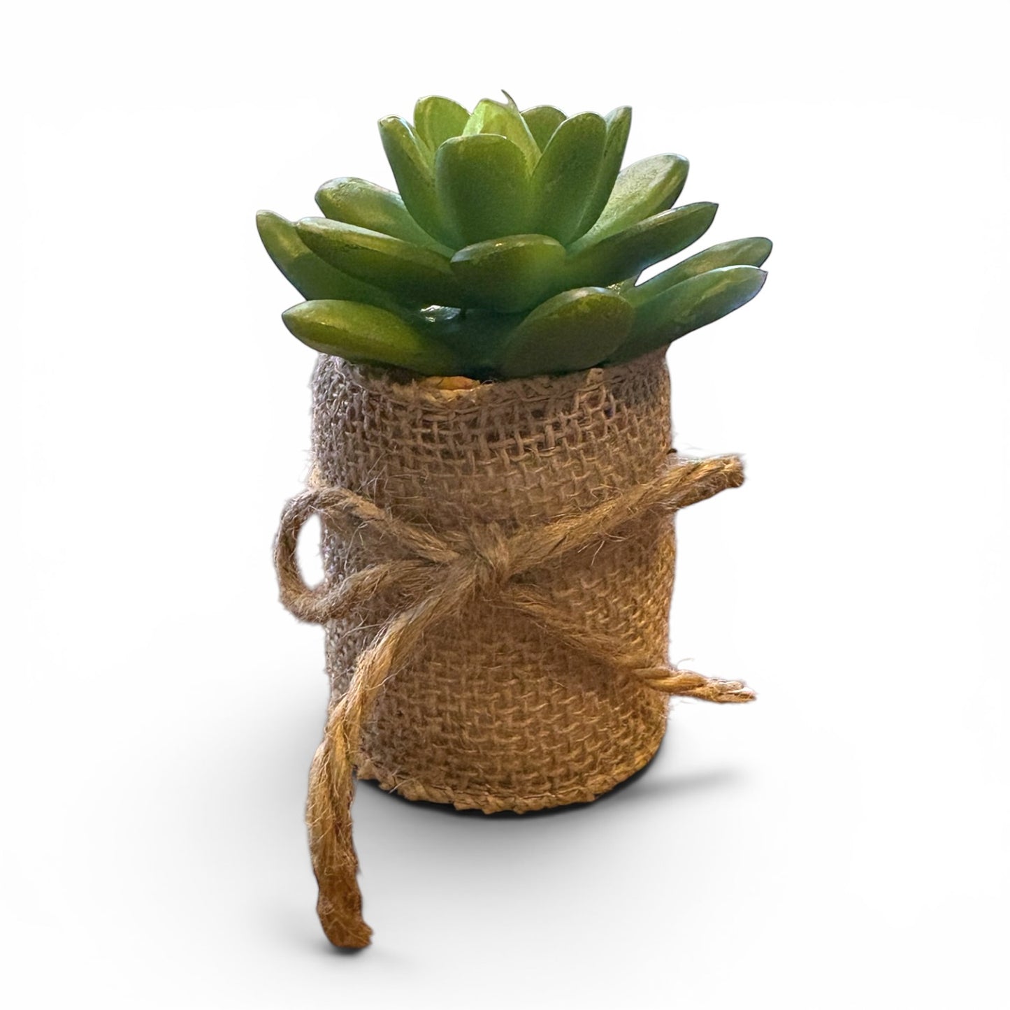 Succulents in Burlap Wrap - 4"