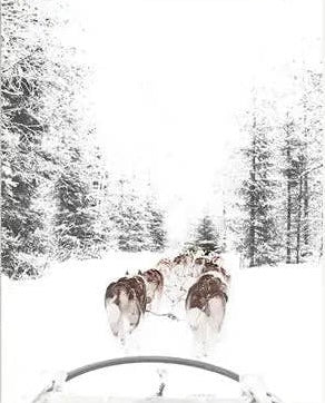 Winter Poster Prints - 24"x36"