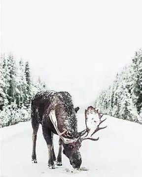 Winter Poster Prints - 24"x36"