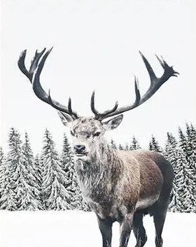 Winter Poster Prints - 24"x36"
