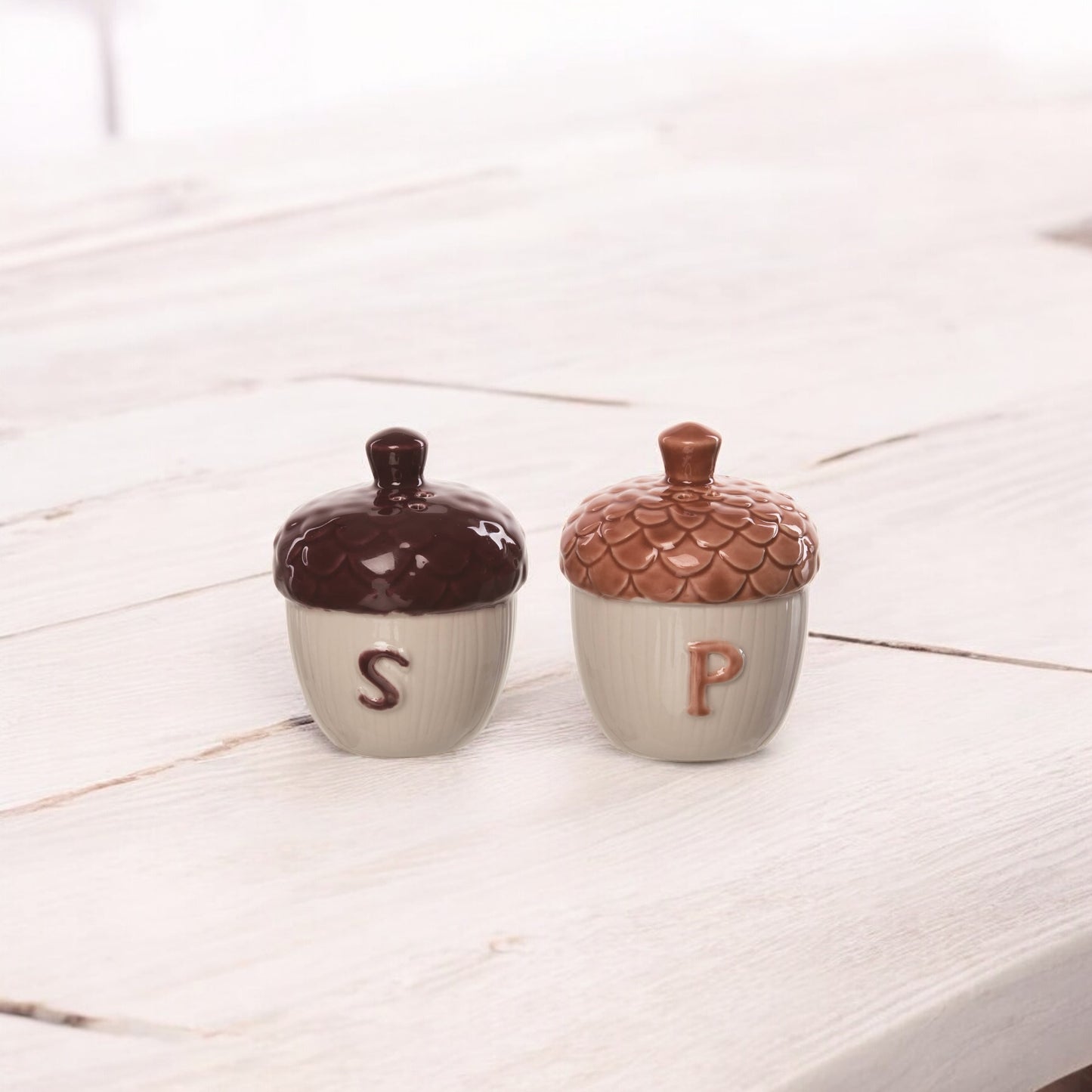 Stoneware Acorn Salt and Pepper Shaker Set