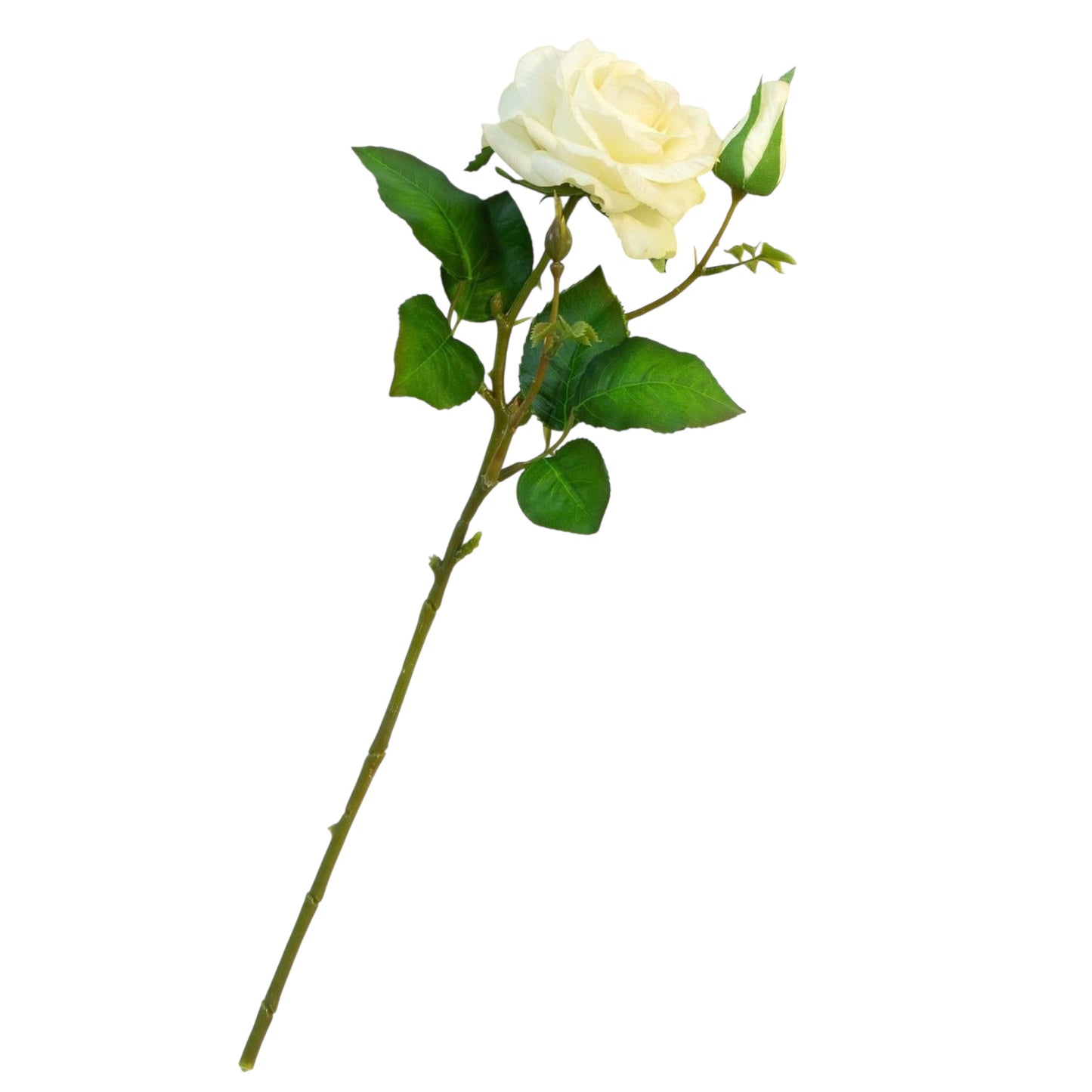 Real Feel Garden Rose - 15"