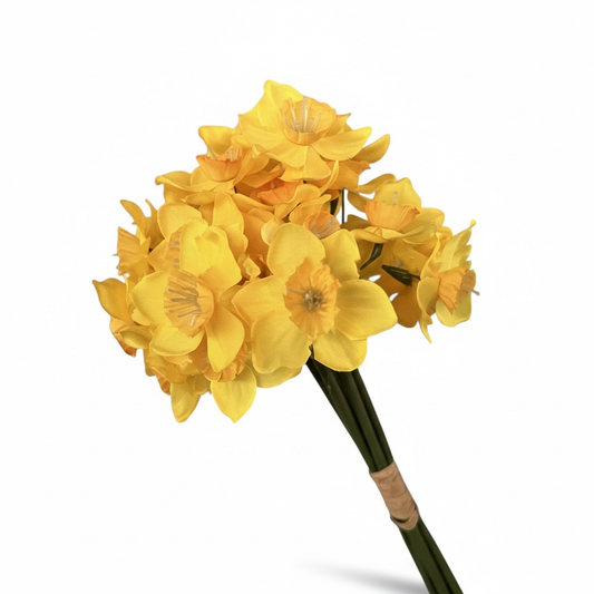 Daffodils, Bunch of 6 - 13"