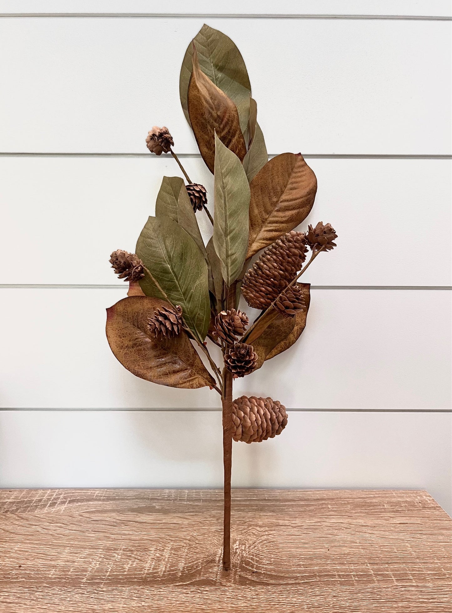 Autumn Magnolia and Pinecone Pick - 18"