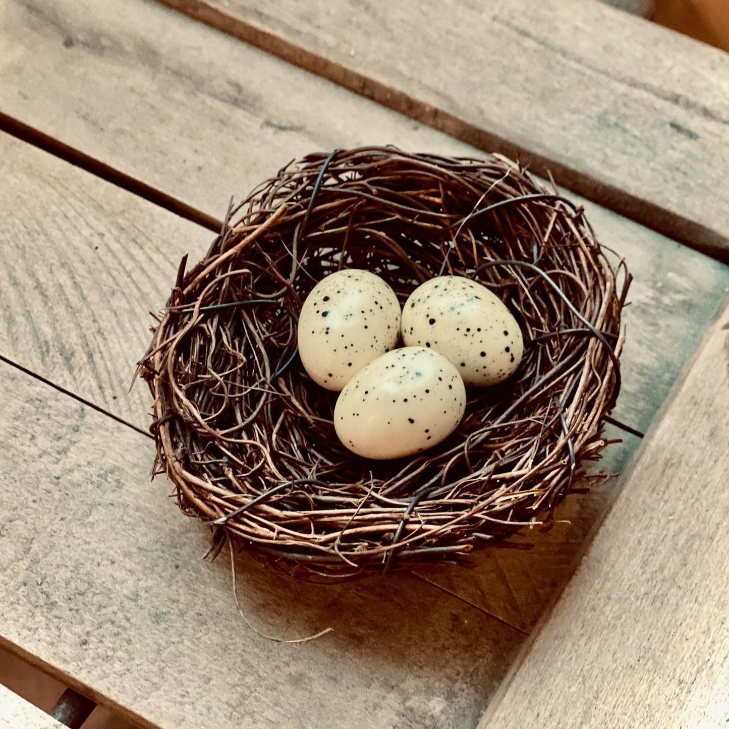 Vine & Twigs Bird Nest with Eggs