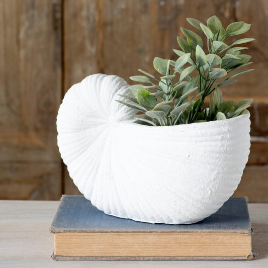 White Shell Cement Planter 8.25"