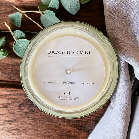 Eucalyptus & Mint Candle - 12 oz