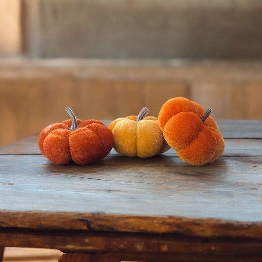 Velvet Pumpkin Set of 3 - 3" each