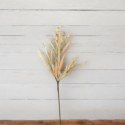 Natural Foxtail Pick - 30"