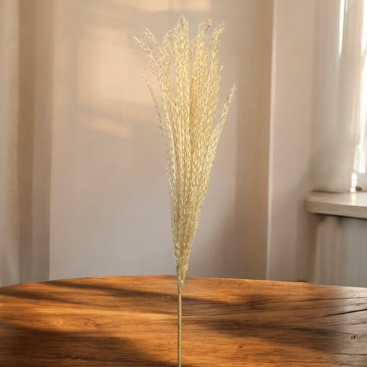 Pampas Grass Spray - 37"