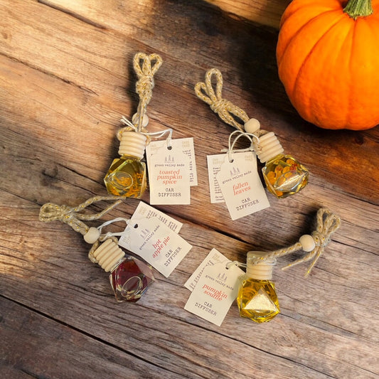 Autumn Scented Car Diffusers