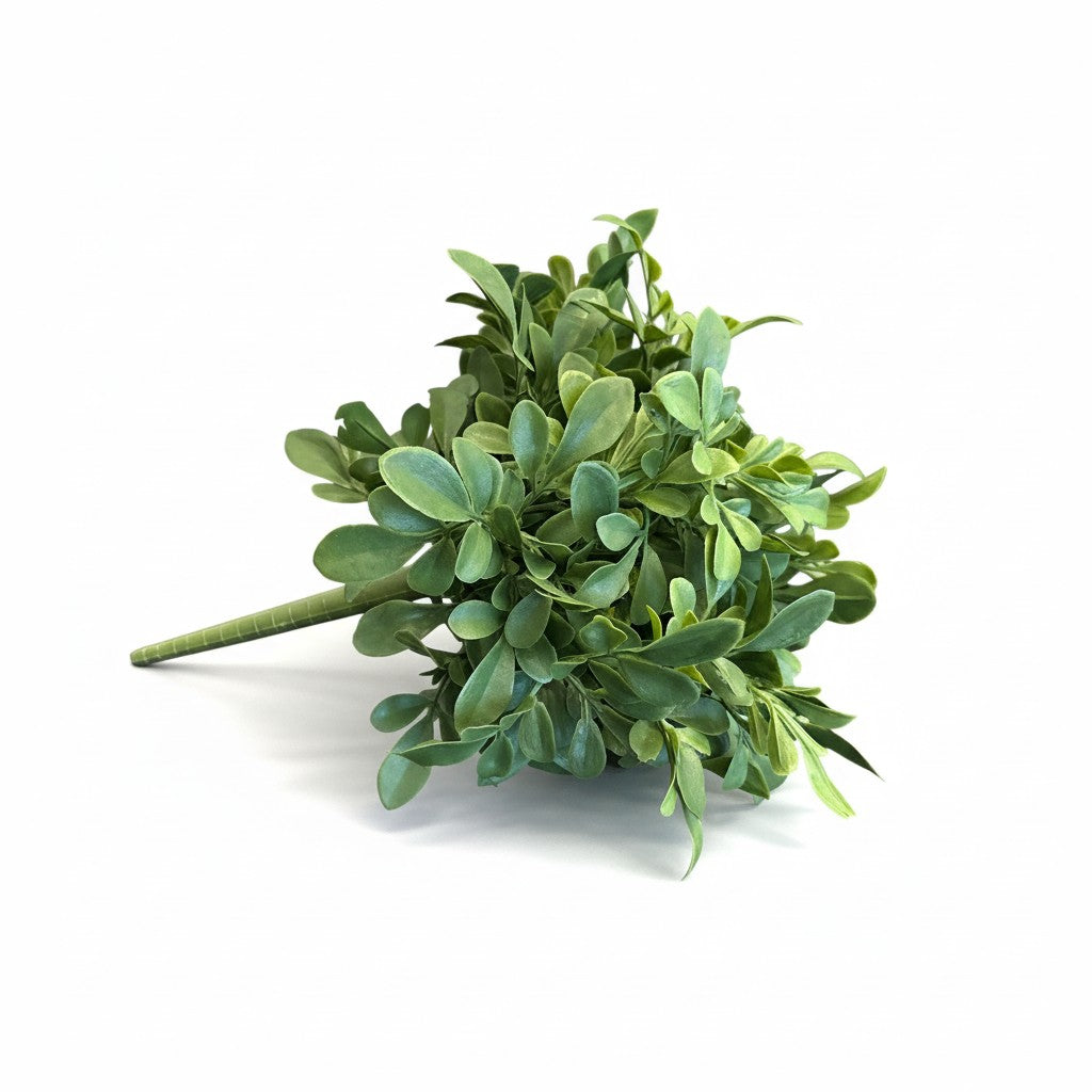 Boxwood Bush - 9.5"