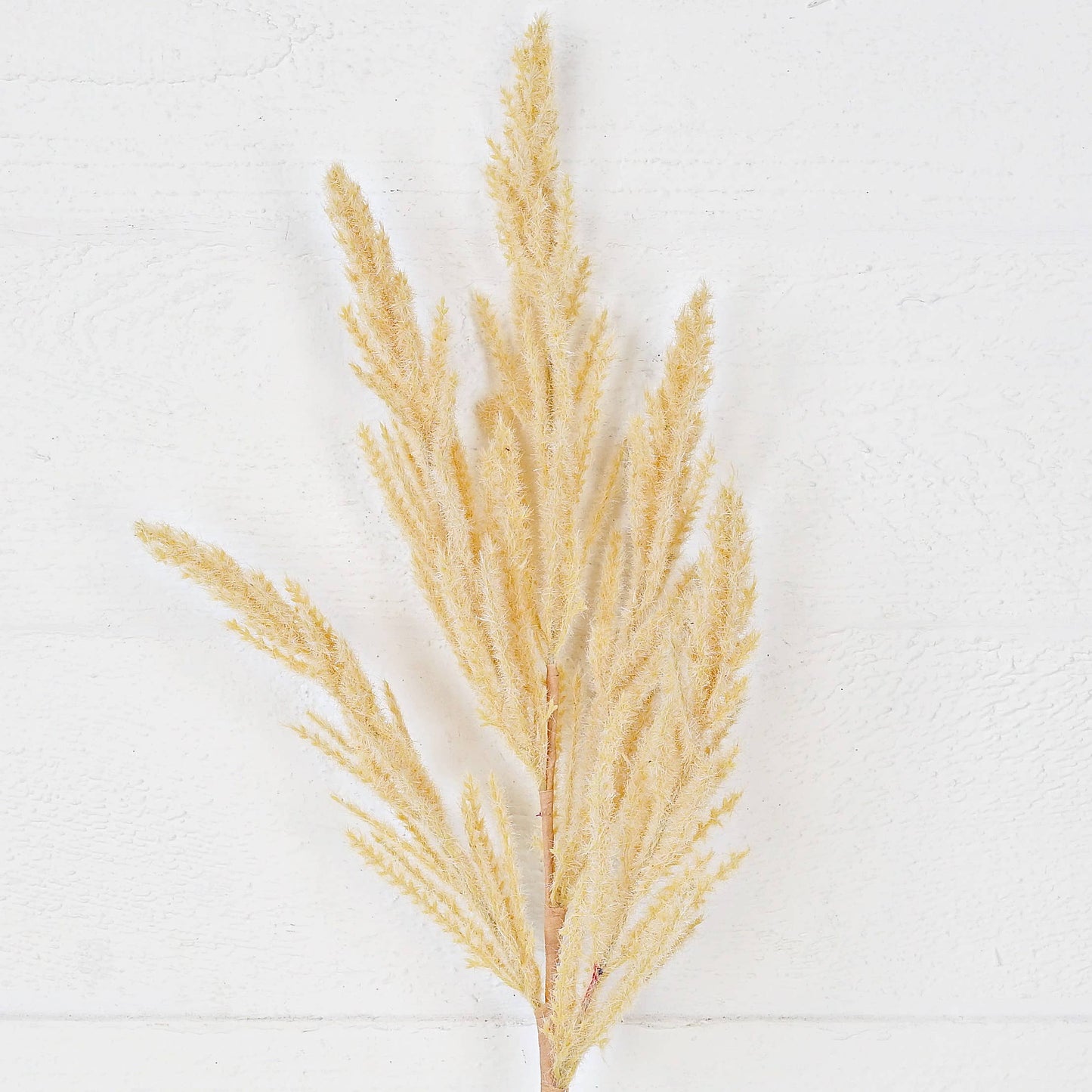 Beige Sorghum Clusters Spray - 21"