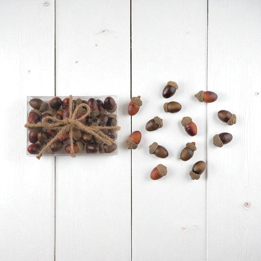 Box of Foam Acorns