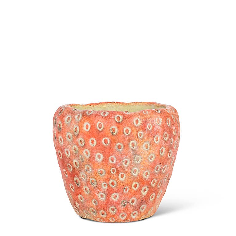Small Strawberry Planter - 5"