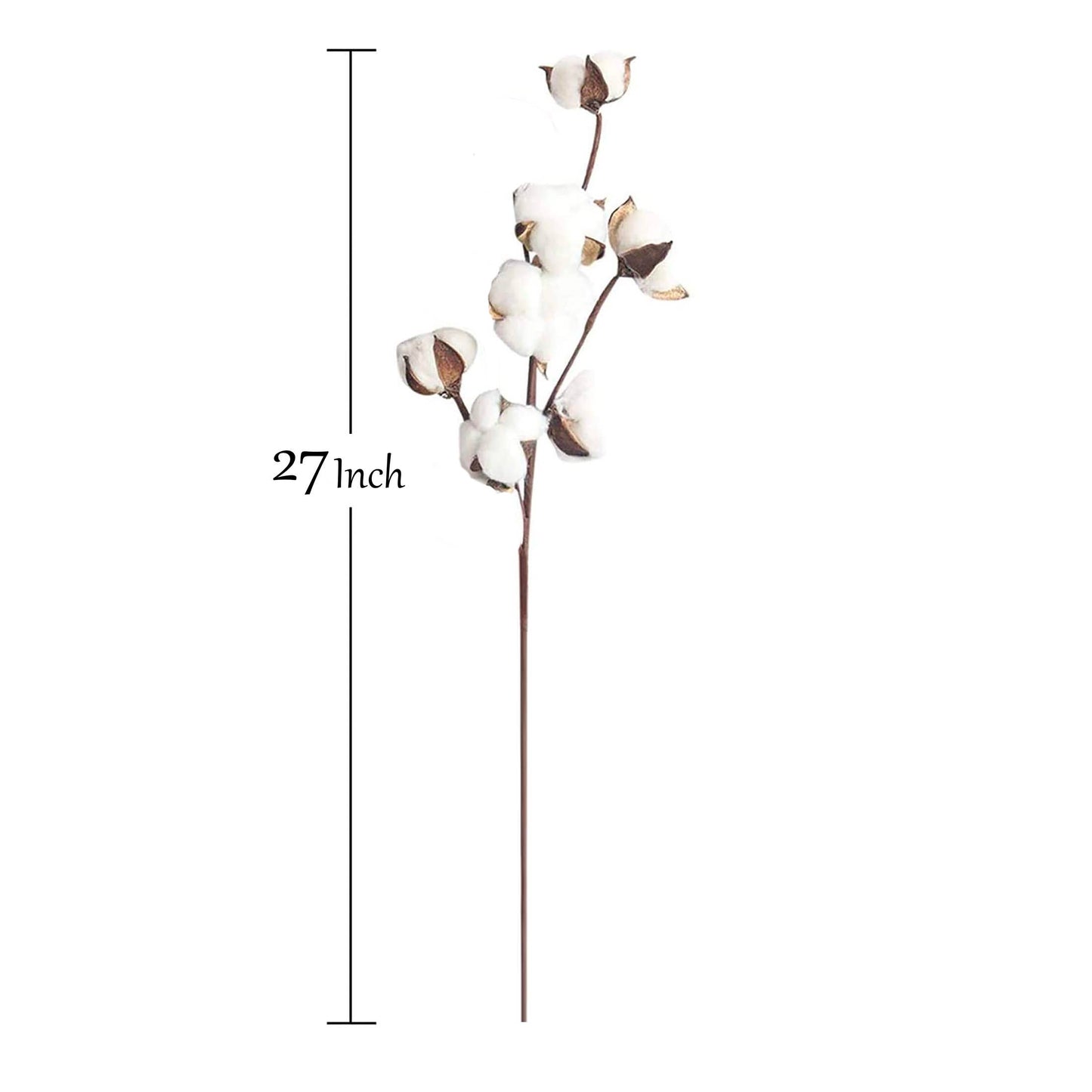 Cotton Stem - 21"
