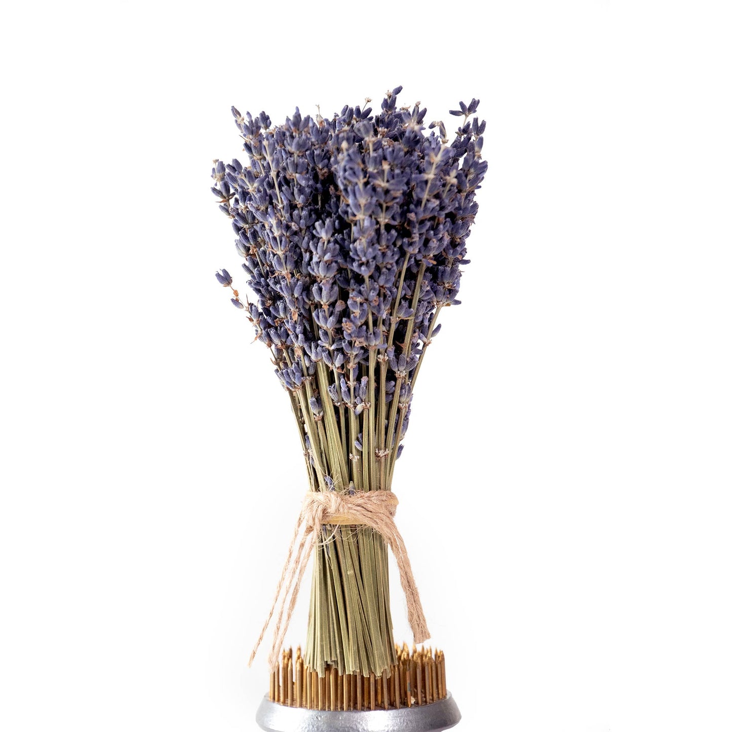 Mini French Lavender Bundle