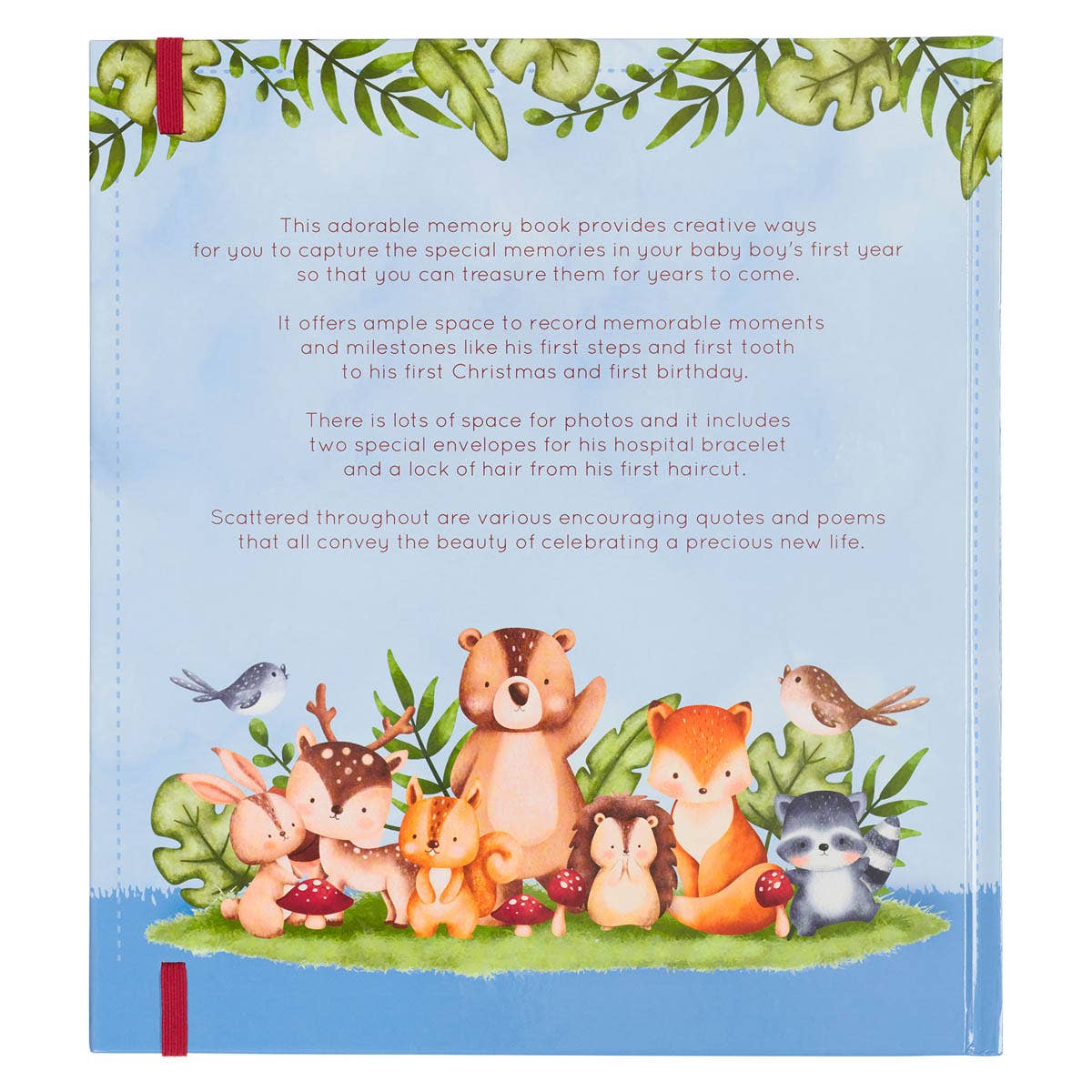 Baby Memory Book for Boys