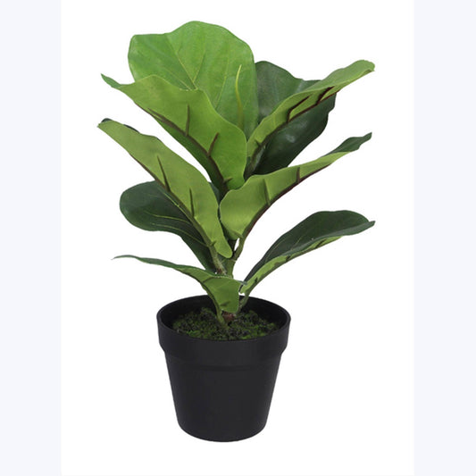 Artificial Ficus Lyrata in Plastic Pot