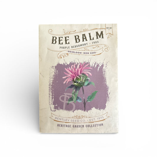 Bee Balm Seed Packet - Purple Bergamont