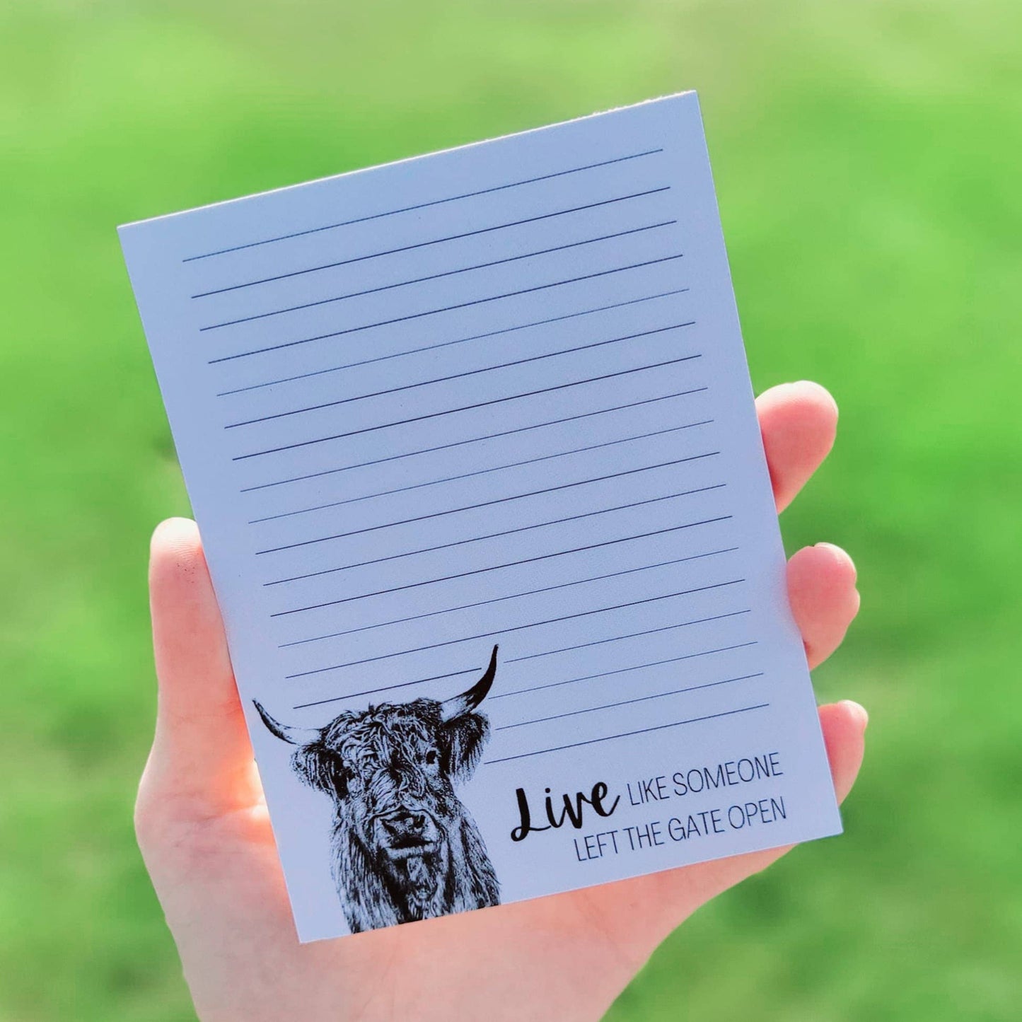 Live Like Someone Left The Gate Open - Highland Cow Notepad