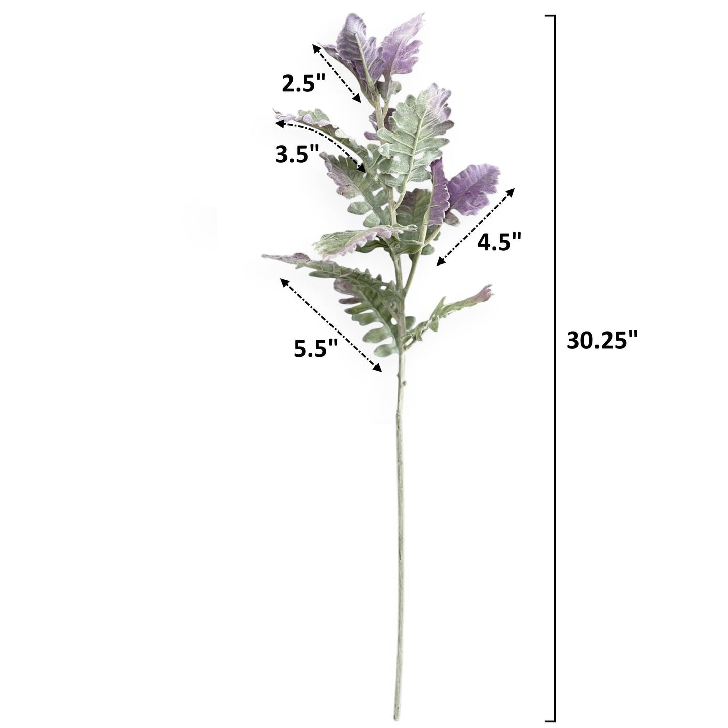 Frosted Dusty Miller Spray - 30.5"
