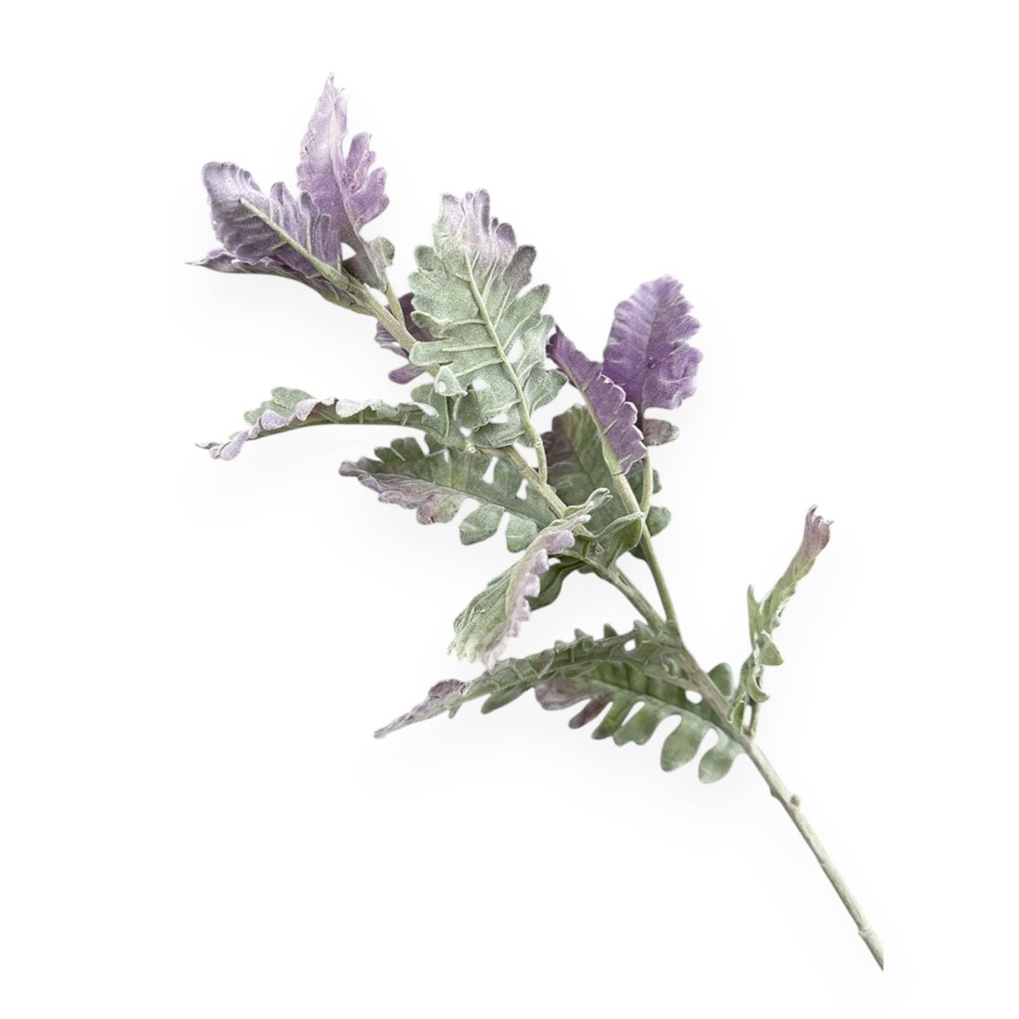 Frosted Dusty Miller Spray - 30.5"