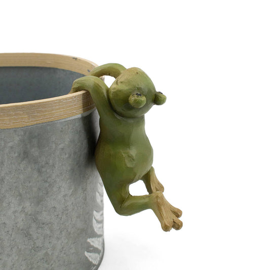 Resin Frog Pot Hanger