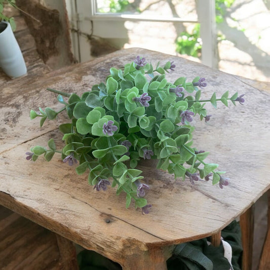 Eucalyptus Bush with Purple Buds - 11"