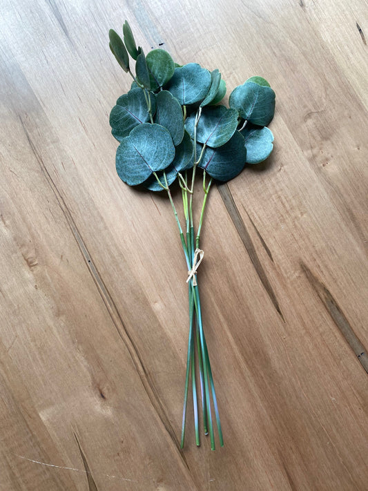 Real Feel Eucalyptus Bundle of 5 Stems - 17"