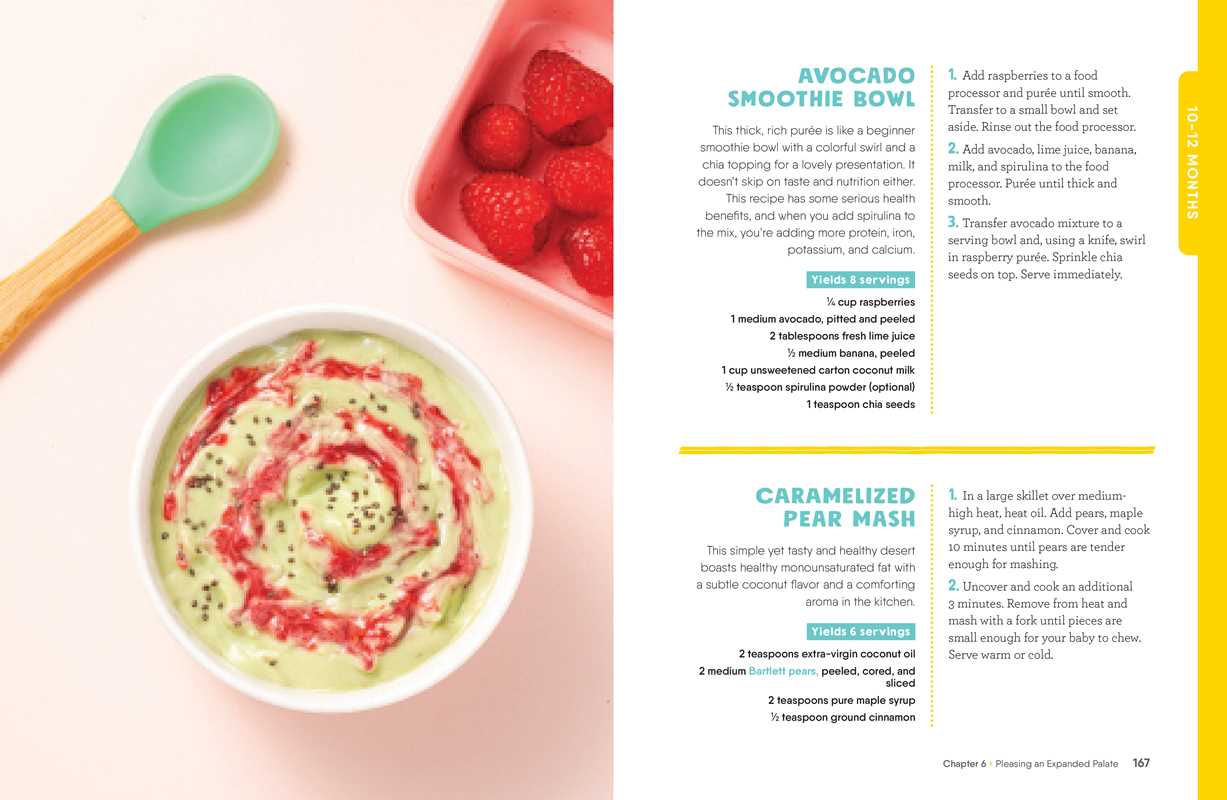 Big Book of Plant-Based Baby Food Cookbook