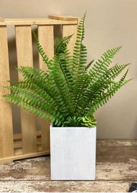 Fern In Light Blue Box Planter