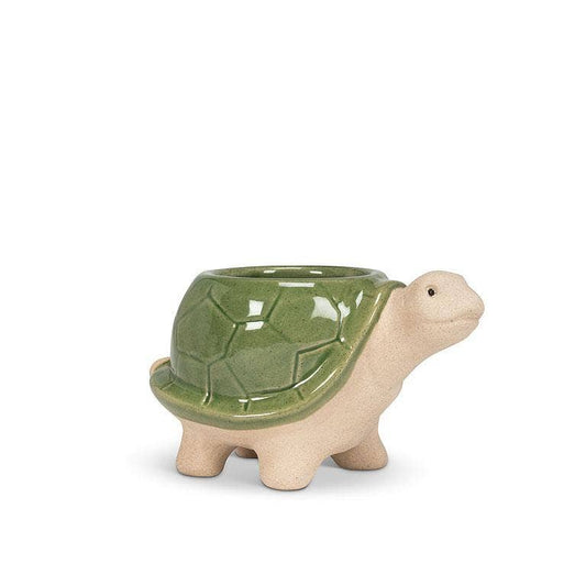 Small Turtle Planter - 3.5"