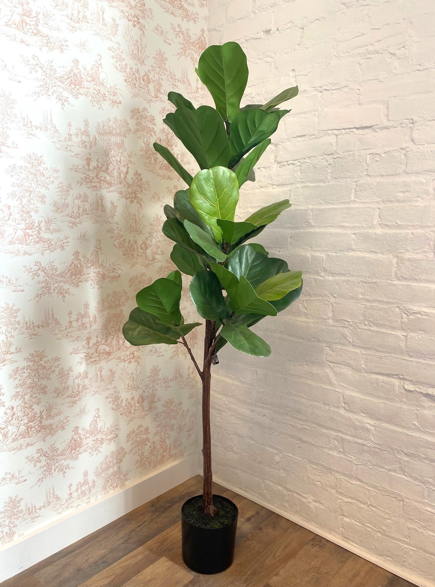 51" Fiddleleaf Tree