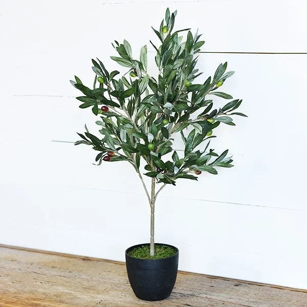Olive Tree with Pot - 29"