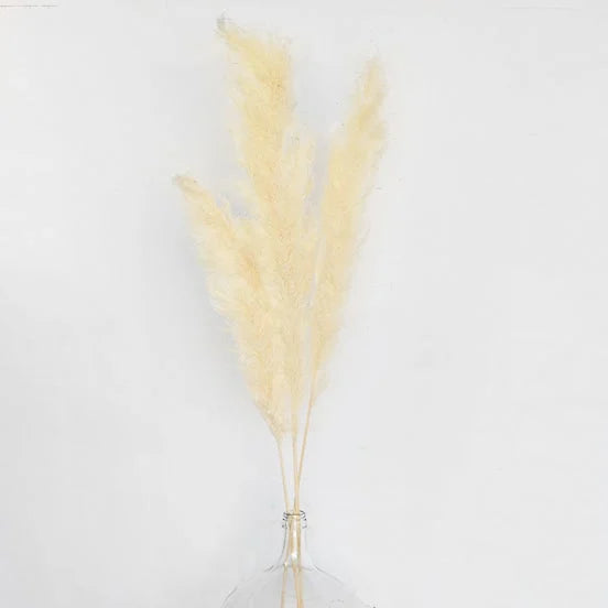 55"-63" Set of 3 White Pampas Flowers