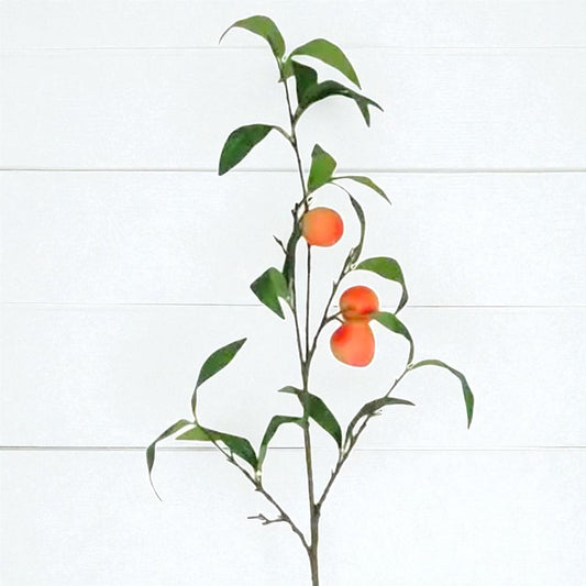 Long Peaches Stem - 37"
