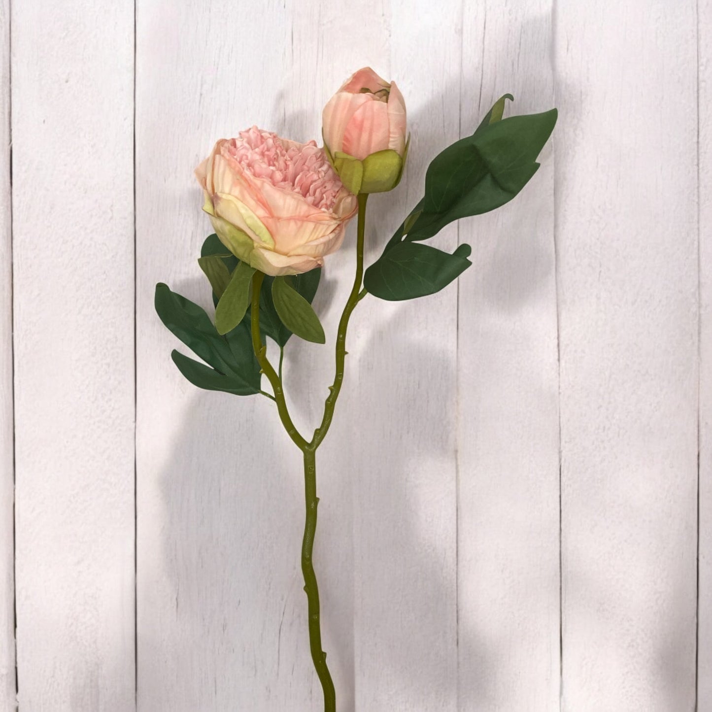 Pink Peony Stem - 19"