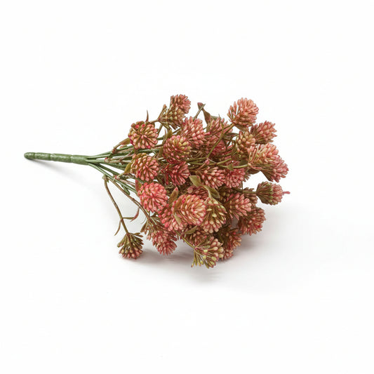 Pink Wil-O-Wisp Bush -12"