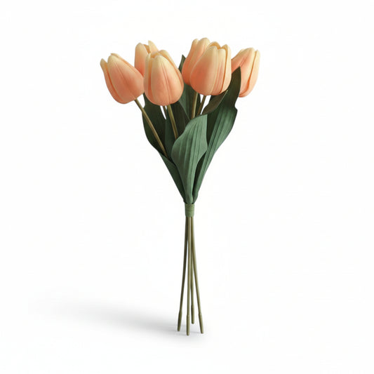 Real Feel Sorbet Tulips, 6 Stems