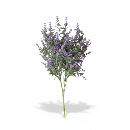 Young Lavender Pick - 14"