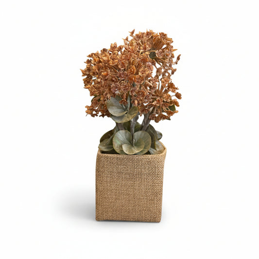 Vintage Hydrangeas in Burlap Box - 8"