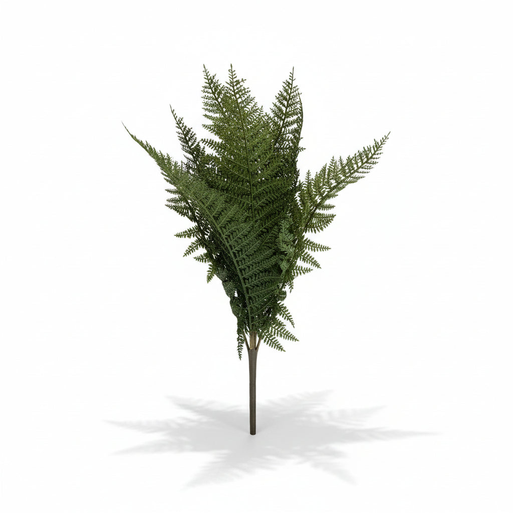 Fernwood Haven Bush - 19"