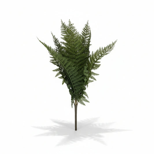 Fernwood Haven Bush - 19"